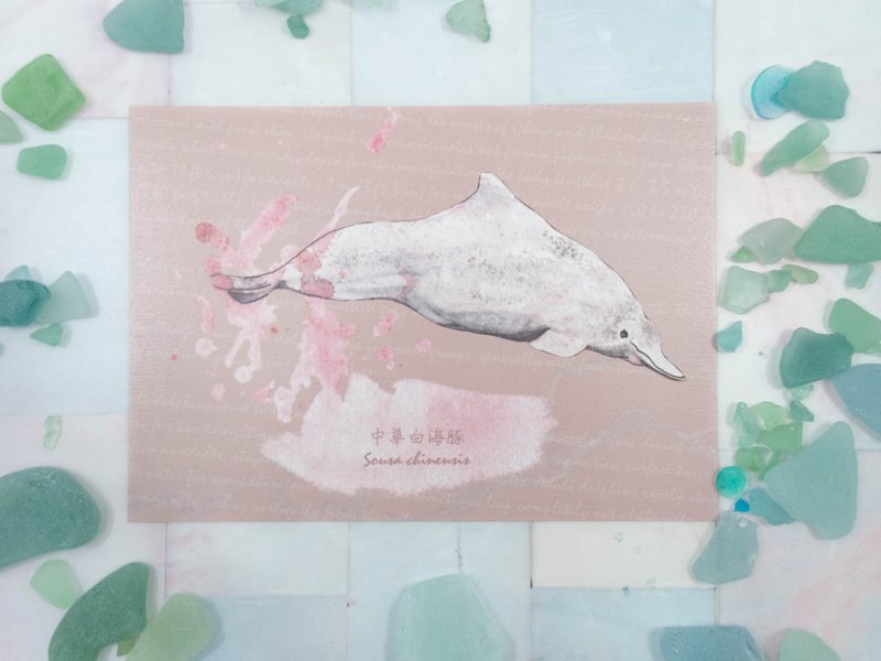 White dolphin hand drawn watercolor illustration style postcard - Cards & Postcards - Paper Pink