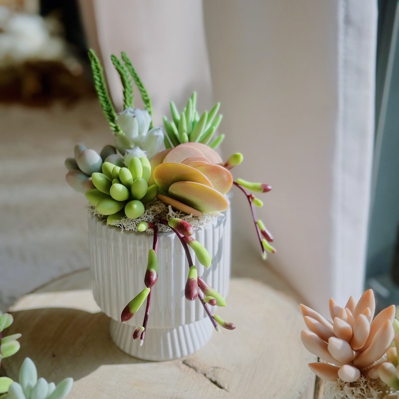 Succulent Garden (Vertical Stripe -white). Handmade Clay Succulent Plants. - ของวางตกแต่ง - ดินเหนียว สีเขียว