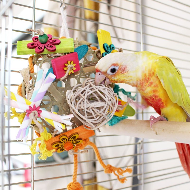 Bird toys Kamikami flower garden - ของเล่นสัตว์ - ไม้ หลากหลายสี