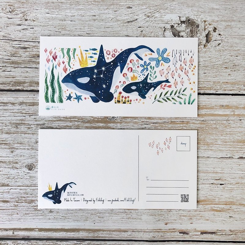 海洋好朋友明信片-虎鯨 - 卡片/明信片 - 紙 