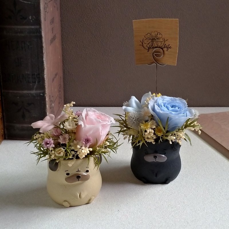 【Wow│Pug】memo folder table flower│Eternal flower (not withered flower)│Dried flower - Dried Flowers & Bouquets - Plants & Flowers 