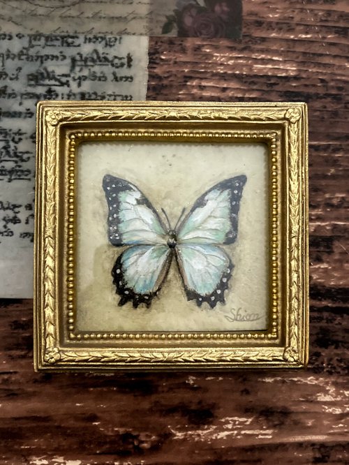 Atelier Shion 小さなモルフォ蝶の絵, Morpho theseus juturna,額縁付き,原画,アンティーク風