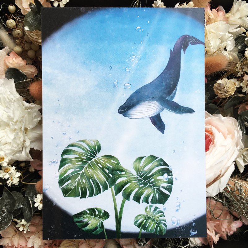 吸引鯨魚的龜背芋 明信片 - 卡片/明信片 - 紙 藍色