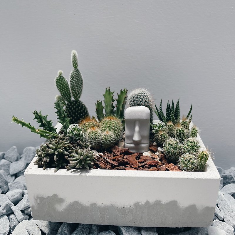 Mini Moai Cactus Garden Pots - Plants - Cement 