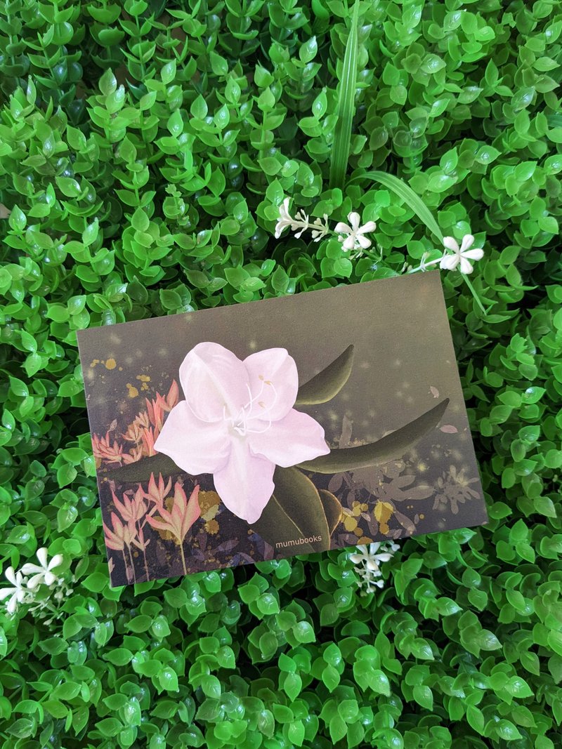 POSTCARD - FLOWER COLLECTION - Rhododendron hongkongensis - การ์ด/โปสการ์ด - กระดาษ หลากหลายสี