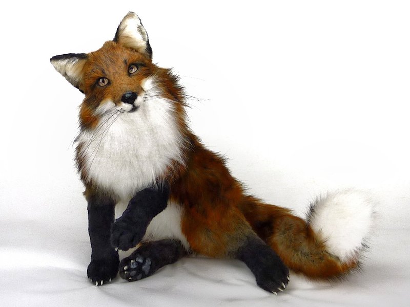 Custom made realistic stuffed fox doll - 公仔/玩偶 - 其他材質 橘色