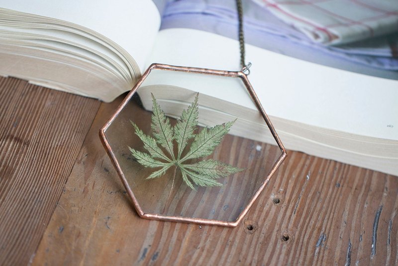 植物圖鑑∣姊妹天使楓葉楓葉∣六角玻璃鑲崁∣植物標本 - 乾燥花/永生花 - 植物．花 綠色