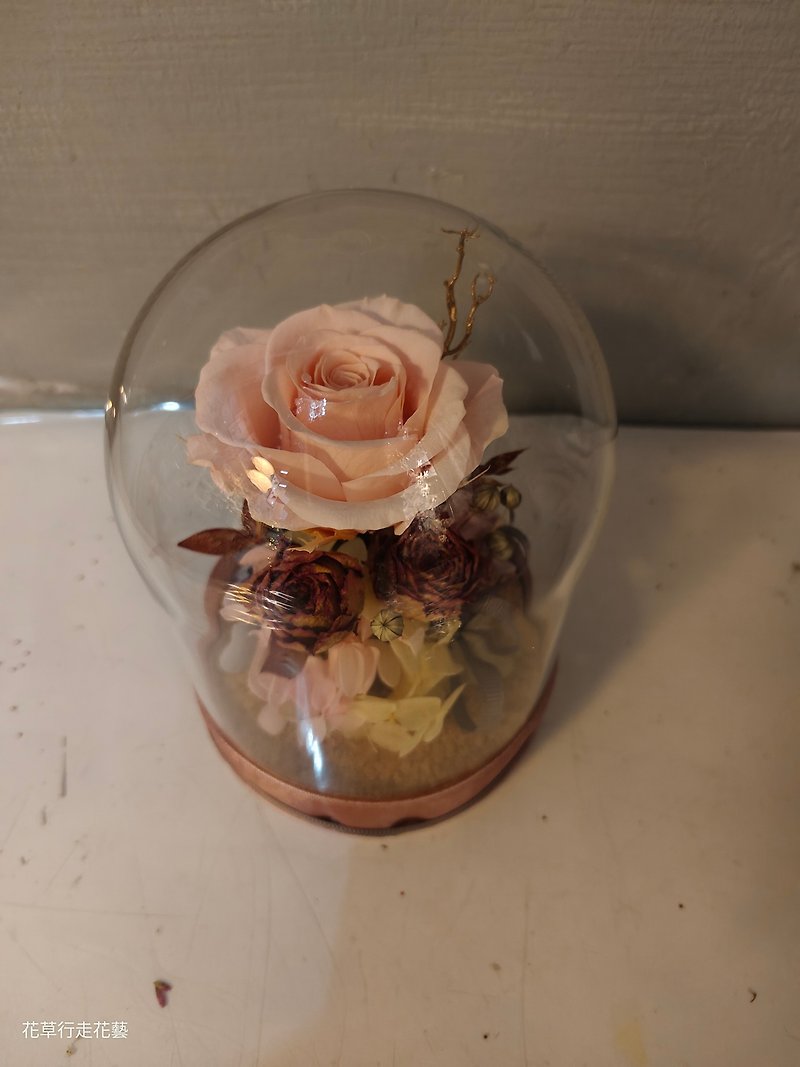 不凋玫瑰花玻璃盅 - 乾花/永生花 - 植物．花 