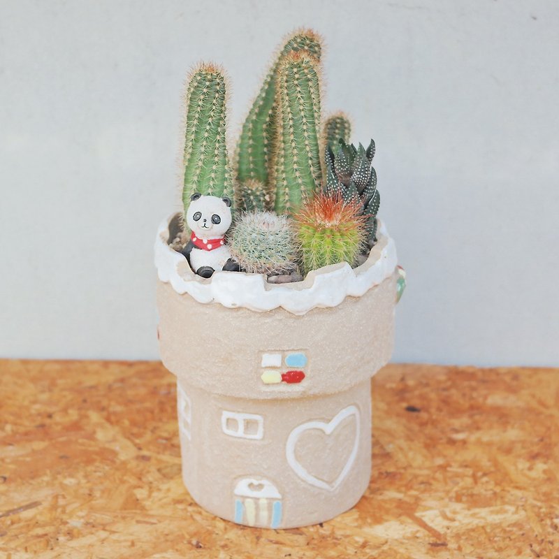 Peas Succulents and Groceries - Love Castle Cactus Set - Plants - Pottery 