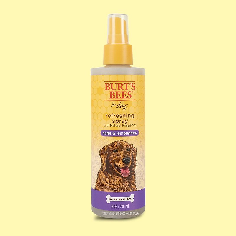 Burt's Bees Grandpa Bee Lemony Sage Hair Conditioner 8oz - Cleaning & Grooming - Other Materials Orange