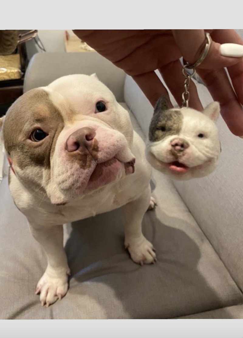 客製鑰匙圈/杯套-惡霸 - 編織/刺繡/羊毛氈/縫紉 - 羊毛 