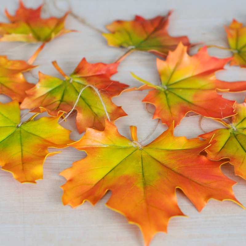 Autumn maple leaves set from foamirane for home, office, wedding decoration - 牆貼/牆身裝飾 - 其他材質 多色