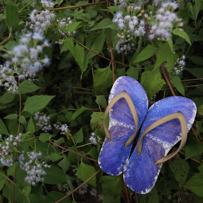 silver studded blue,Plebejus argus, flip flops, Flip-Flops, FLIP FLOPS - รองเท้าแตะ - ยาง สีทอง