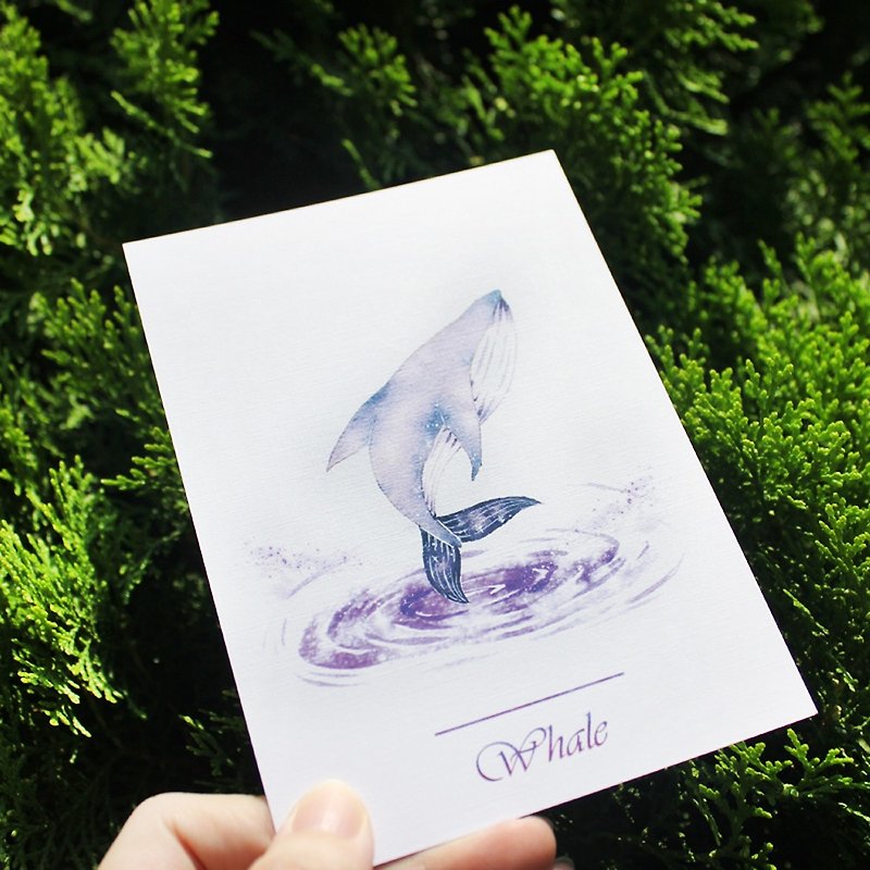 彩鯨明信片   小紫 - 心意卡/卡片 - 紙 紫色