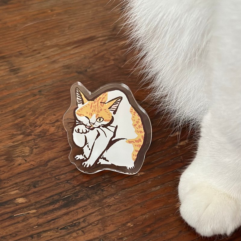 Orange and white cat Acrylic clip - Other - Acrylic Multicolor