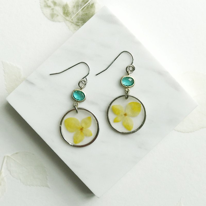 Real flower Yellow Hydrangea S925 silver earrings - Earrings & Clip-ons - Plants & Flowers Yellow