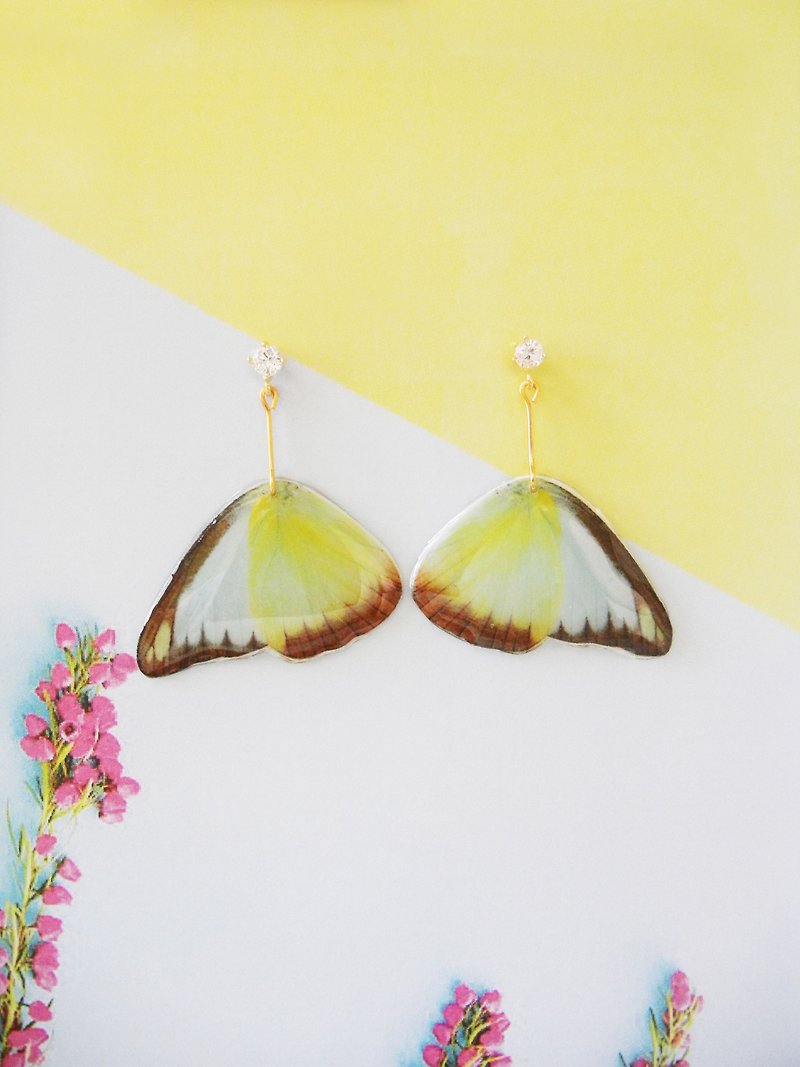 *coucoubird*Yellow and blue butterfly wing earrings / can be modified clip-on - Earrings & Clip-ons - Acrylic Multicolor