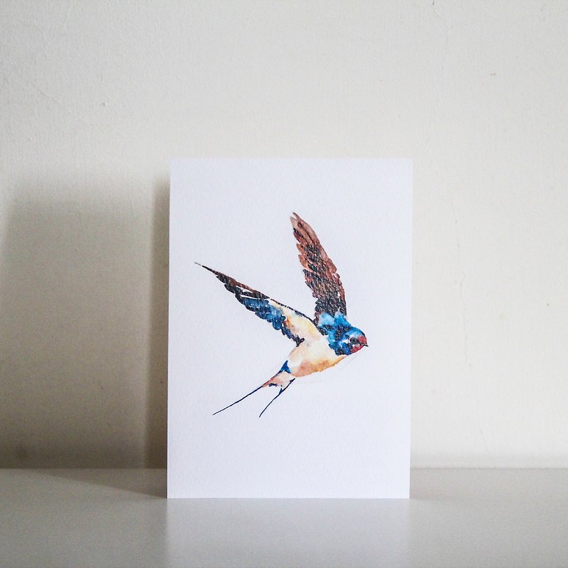 <ツバメ>鳥ポストカード＃3 - カード・はがき - 紙 