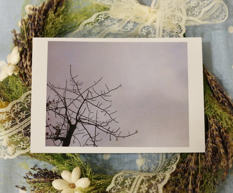 【Postcard】Loneliness in black and white No leaf but alive - Cards & Postcards - Paper White