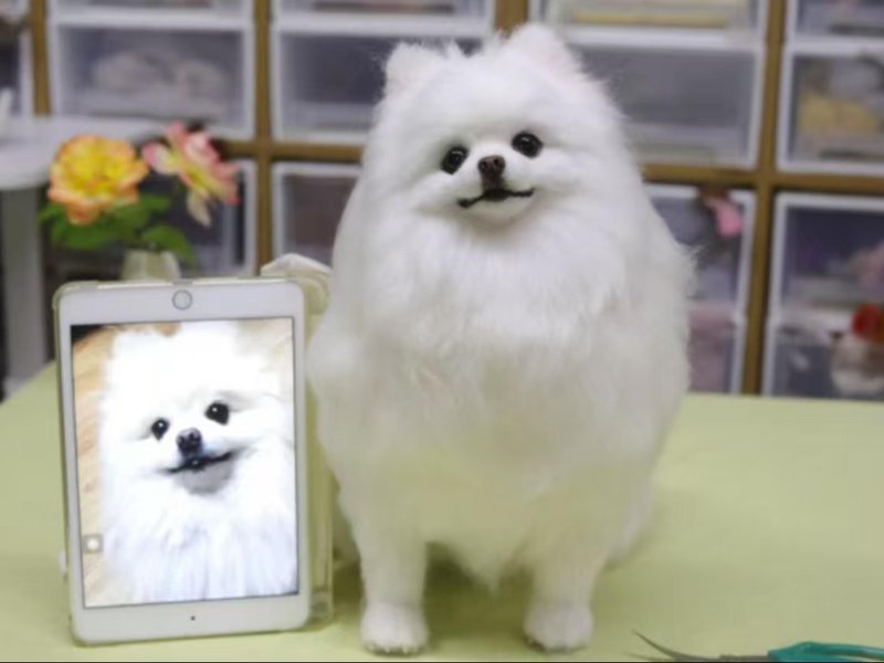客製化逼真犬 羊毛氈 金毛犬  寵物 娃娃 定製 手工 狗狗猫咪   4 - 貓/狗玩具 - 羊毛 多色