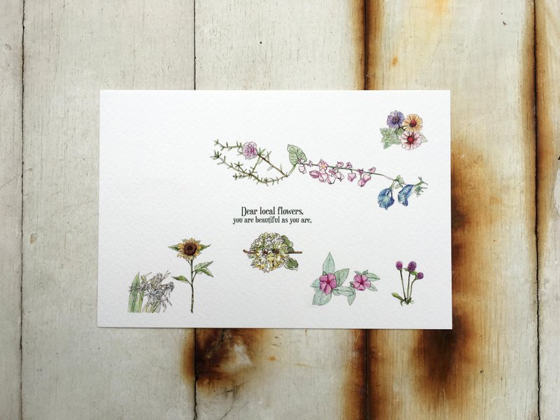 Local flowers postcard - you are beautiful as you are - Cards & Postcards - Paper 