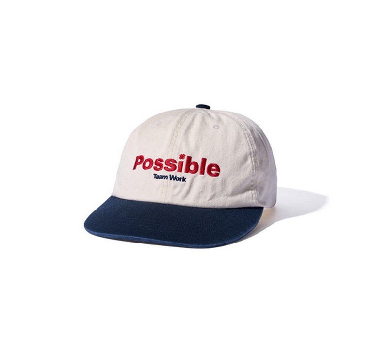 AECA Possible Flat Brim Cap刺繡標語撞色帽款 - 帽子 - 其他材質 多色