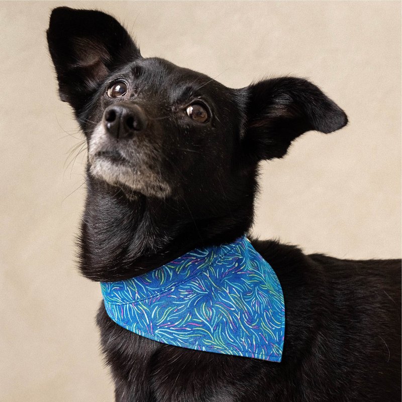 Wagroovy_Bandana_XS/S/M/L - Collars & Leashes - Polyester 