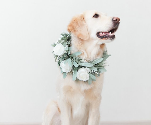 Dog Collar Large - Gardenia Sage