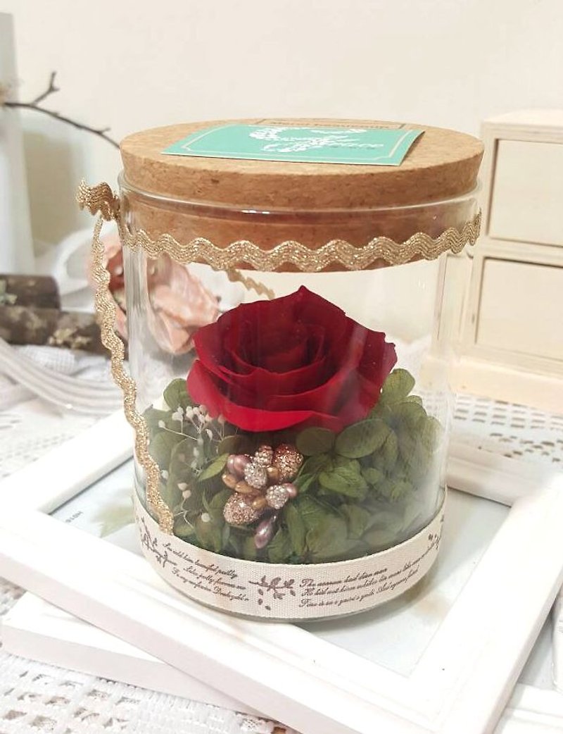 l Fairy in a bottle with lighted glass bottle flower gift-love red l*lover*love*decoration*no withered flowers, stellar flowers, eternal flowers*exchange gifts - ตกแต่งต้นไม้ - พืช/ดอกไม้ สีแดง