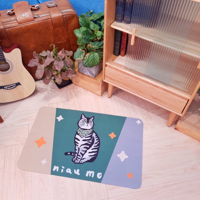 Cat hair soft diatomaceous earth super absorbent floor mat