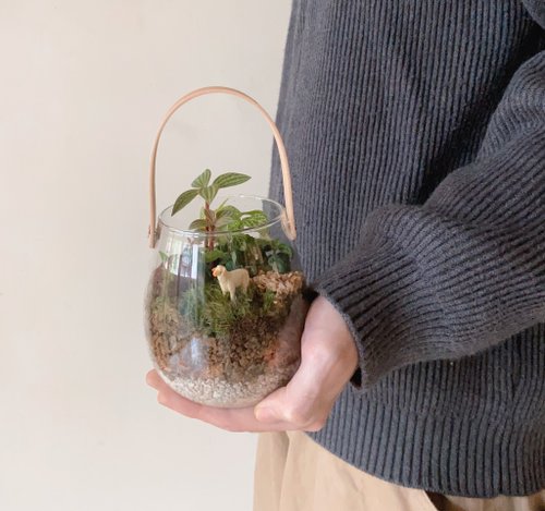 享生活Feng 苔蘚微景觀玻璃提罐