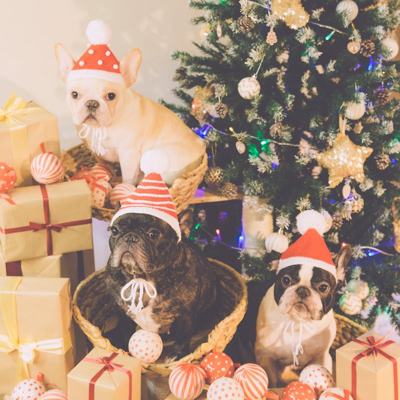 聖誕小公公編織帽 - 球球 橫紋 星星 經典款 聖誕禮盒 - 寵物衣服 - 聚酯纖維 紅色