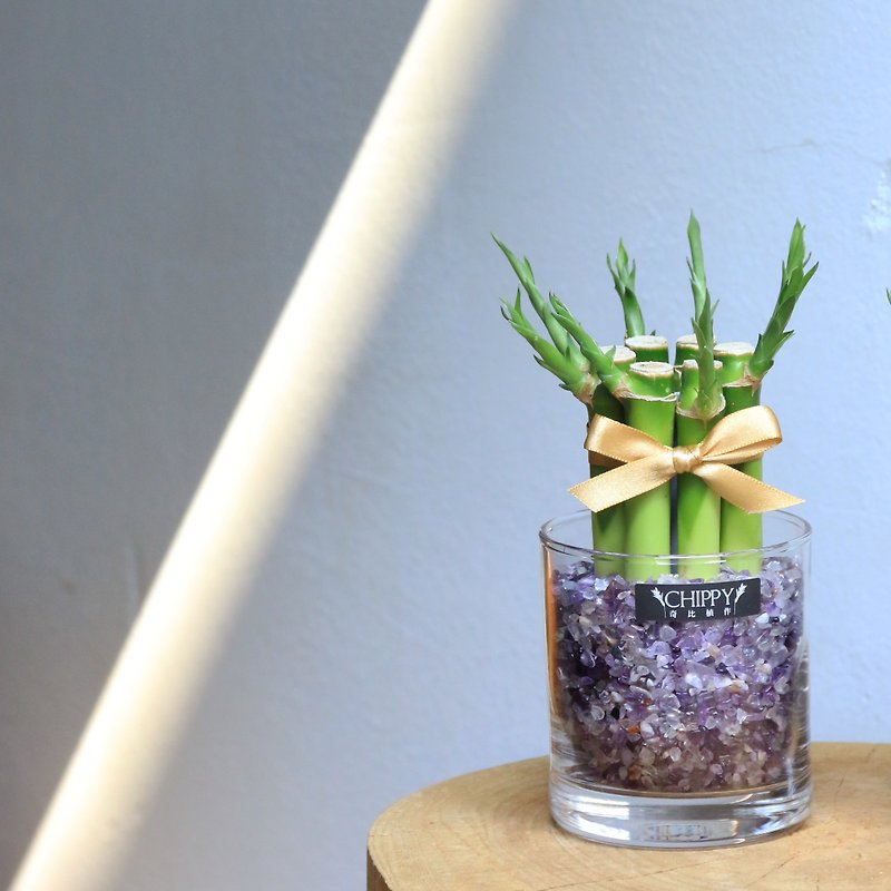 【Lucky Series】Lucky Bamboo on the Table - Give You Wisdom Amethyst - Plants - Plants & Flowers 
