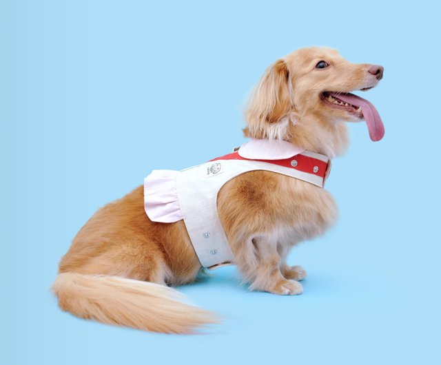 ヨーコのクラスメートのコルセットの中には犬服・猫服も - ショップ