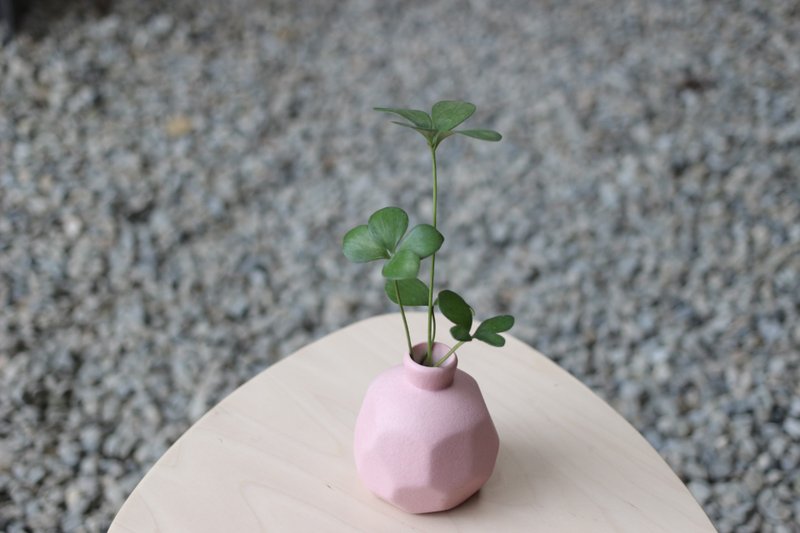 Hydroponics Planting│Lucky Iron Tree_Indoor Plant Frosted Ceramic Geometric Vase Powder - Plants - Pottery 