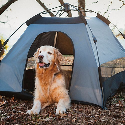 PLAY寵物生活館 露營野趣 寵物專用帳篷 狗屋 防水 抗紫外線(拼接系列 3色)