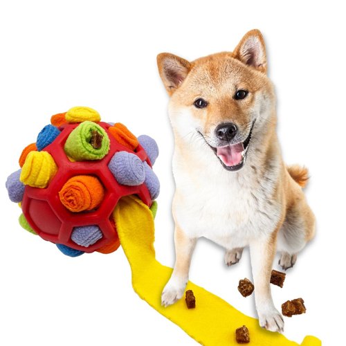 柴犬大學 SHIBA UNIVERSITY 柴犬大學 寵物嗅聞炸炸球 嗅聞球 嗅聞玩具 狗玩具 藏食玩具
