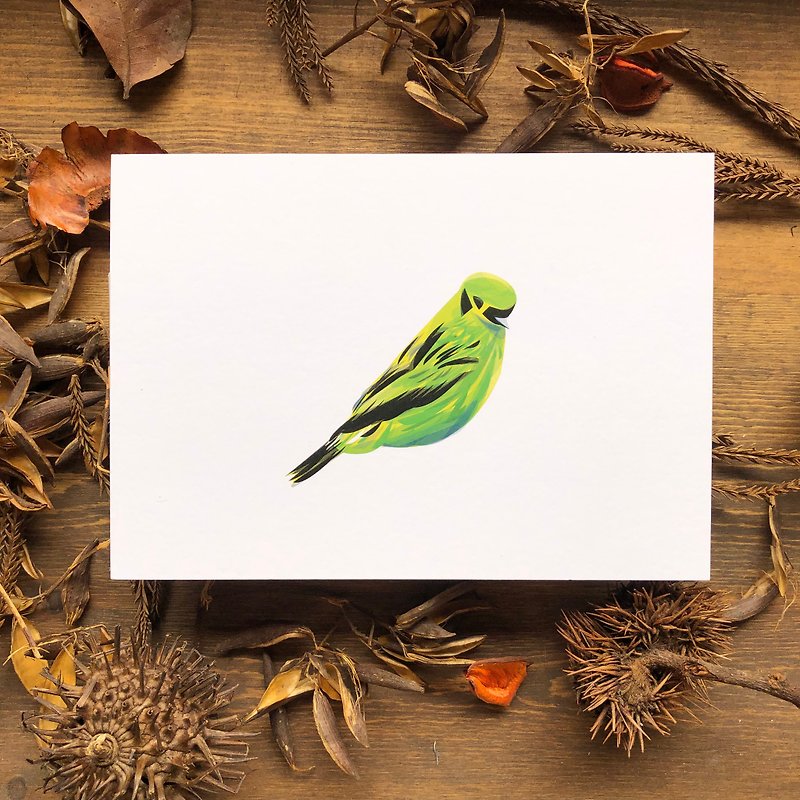 鳥鳥系列 翠綠唐加拉雀 明信片 - 心意卡/卡片 - 紙 綠色