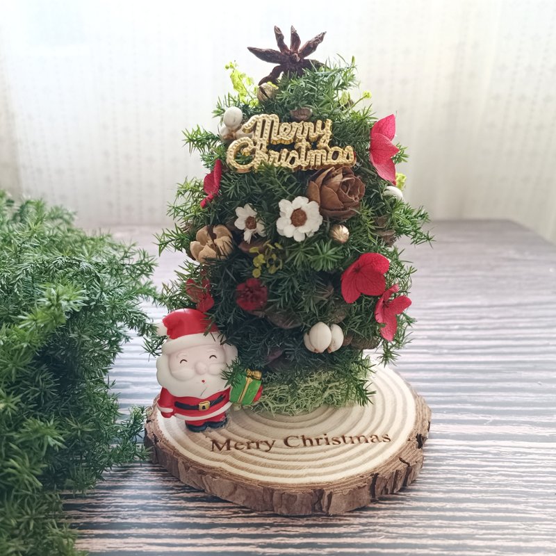 [Pine cone Christmas tree] Everlasting cedar/Christmas/Material package red hat - Dried Flowers & Bouquets - Plants & Flowers Green