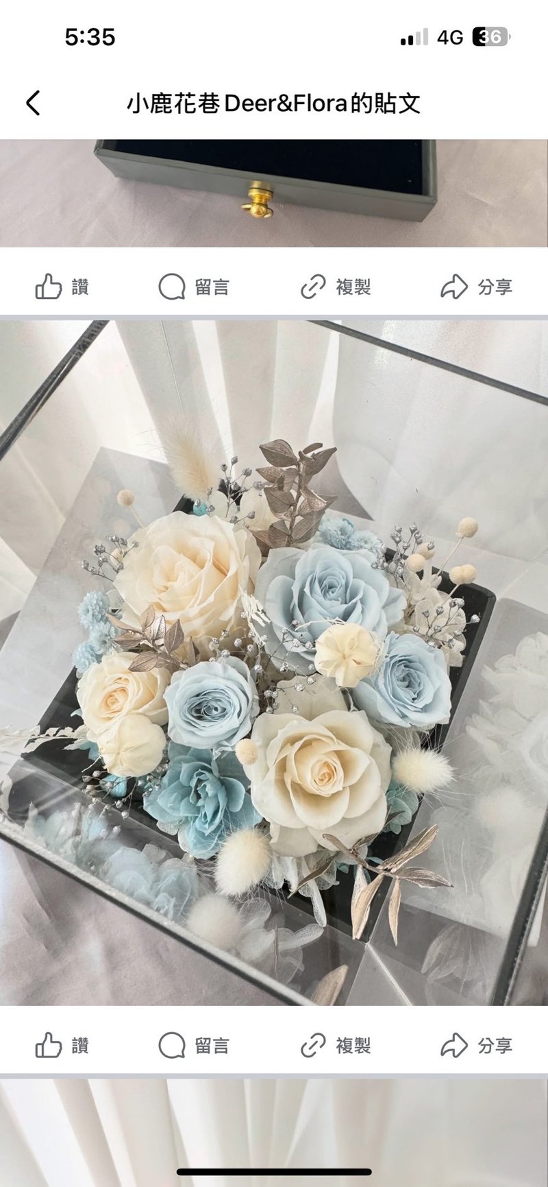 永生花首飾盒 藍白色玫瑰 結婚紀念日 - 乾燥花/永生花 - 植物．花 