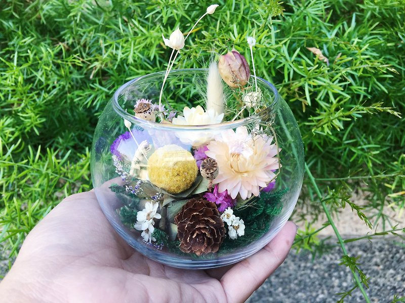 [Good] micro-landscape modeling flower pot of dried flowers and dried flower glass ball cup dried flower landscape forest department - Plants - Plants & Flowers 
