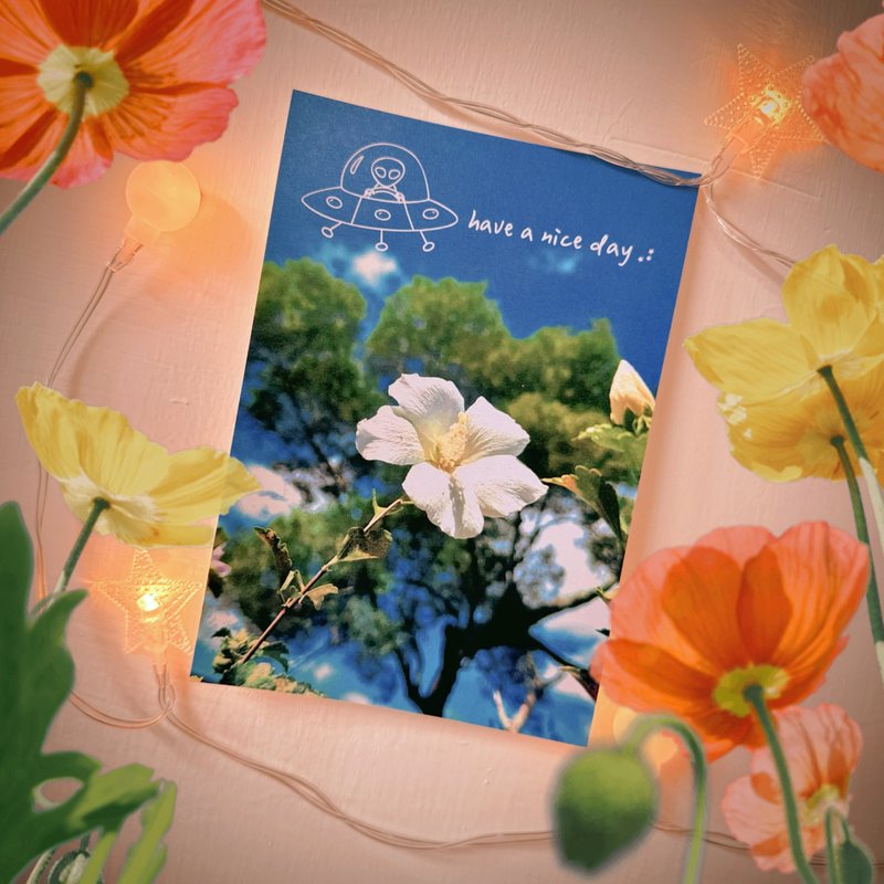 Daily Garden have a nice day 外星人遊台灣明信片/貓空扶桑花 - 卡片/明信片 - 紙 多色