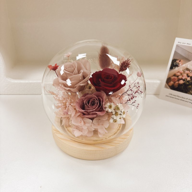 圓形永生花夜燈玻璃罩-泡泡糖系列 擴香 開幕 生日禮物 yuflorist - 燈具/燈飾 - 植物．花 多色