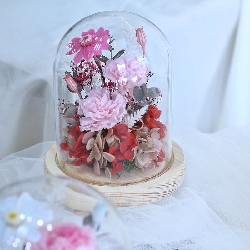 FL017-02 永生康乃馨玻璃罩-粉色 - 乾花/永生花 - 植物．花 