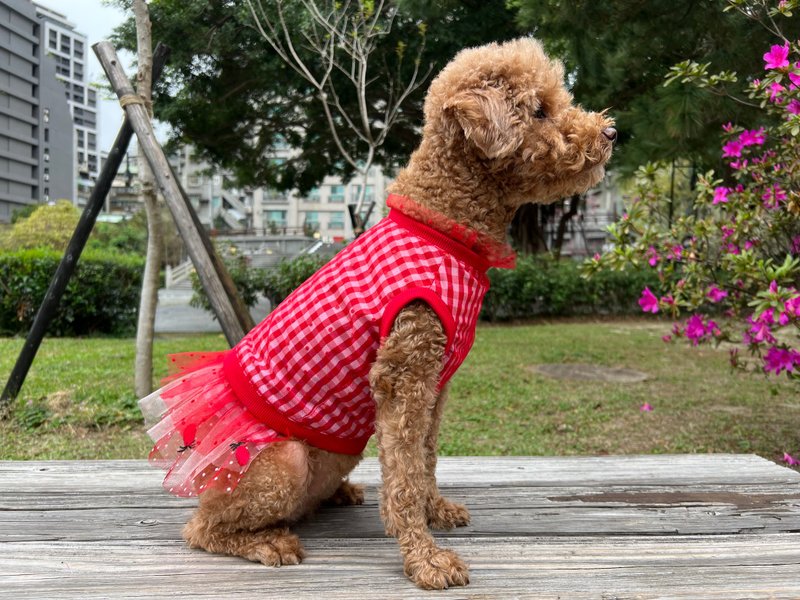 Dog Wedding Dress Bride Outfit with Red Strawberry Embroidered Pet Outfit - ชุดสัตว์เลี้ยง - วัสดุอื่นๆ สีแดง