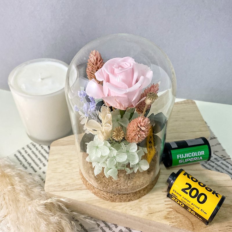 Everlasting Rose Glass Clock - Dried Flowers & Bouquets - Plants & Flowers Pink