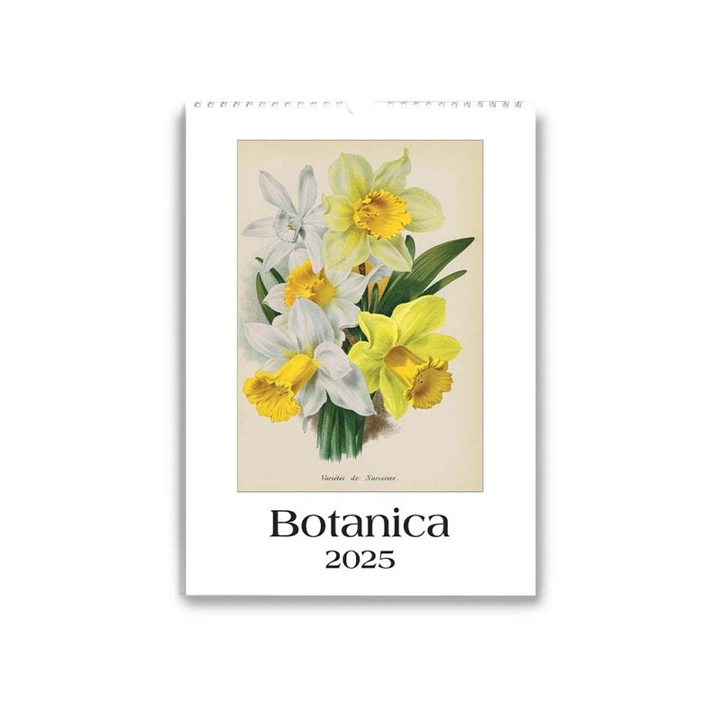 Italian IFI 2025 Annual Calendar/Wall Calendar (L) Botany (please message before placing order) - ปฏิทิน - กระดาษ หลากหลายสี