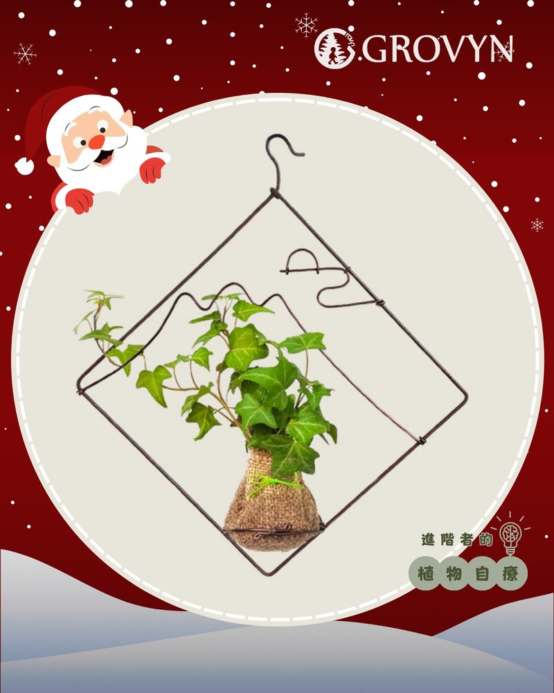 【Green Window Lattice】A Poetic Window to Nature • Aesthetic Living with Botanical Sensibility - จัดดอกไม้/ต้นไม้ - พืช/ดอกไม้ 