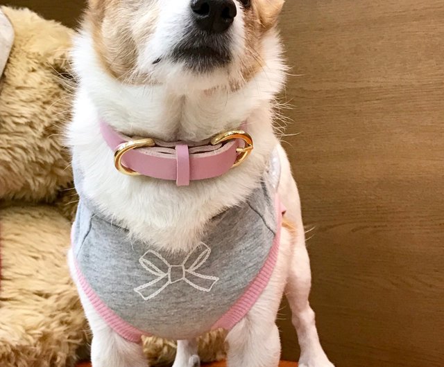 犬になりたい オファー 女 首輪