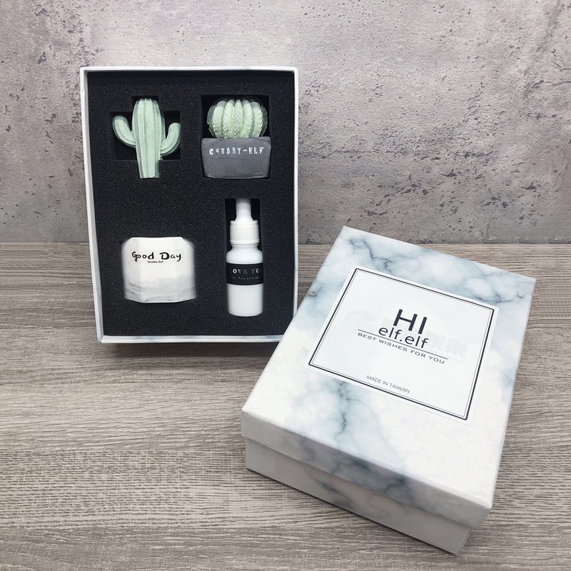 Goody Bag -擴香石仙人掌禮盒組 - 香氛/精油/擴香 - 其他材質 綠色